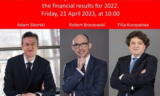 Investor chat dedicated to the financial results for 2022